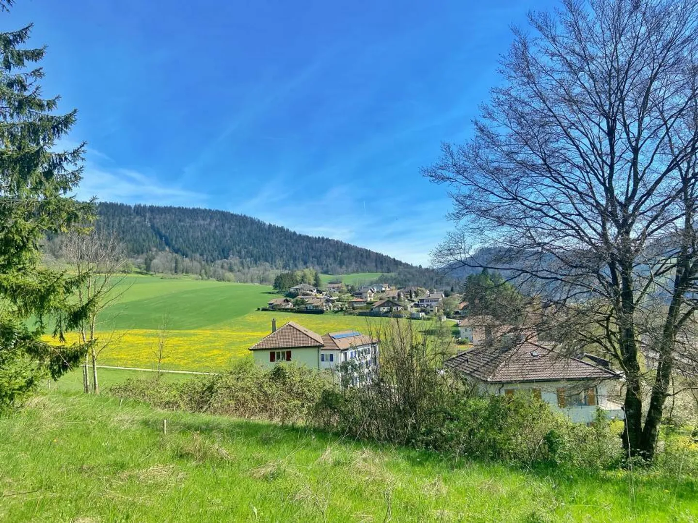 ECCELLENTE! MAGNIFICA VILLA NEL CUORE DI UN'OASI VERDE - Foto 2 di 6