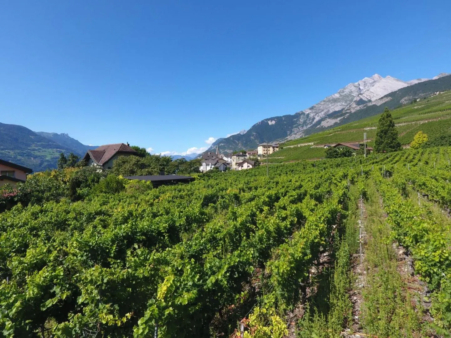 Terreno edificabile - Foto 3 di 4