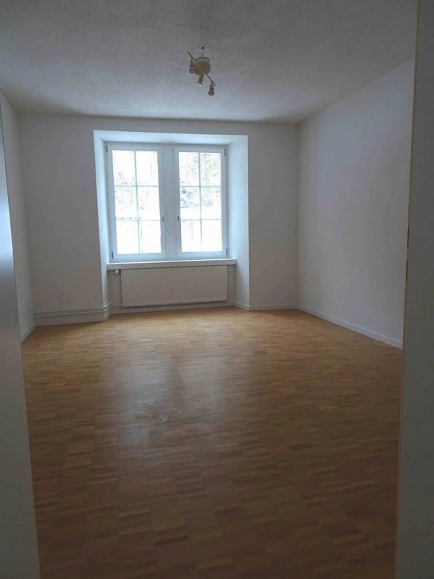 Partially renovated 3-room apartment in the green - Photo 3 of 5