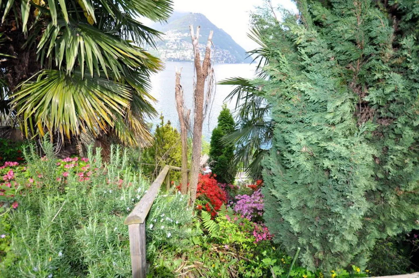 Plot with lake view and villa to be expanded or demolished in Paradiso - Photo 6 of 9