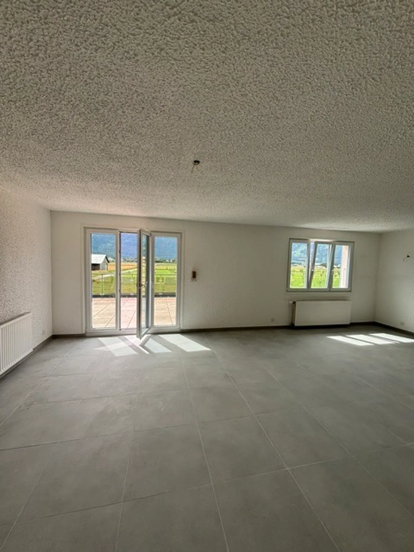Apartment with a large terrace and view of the Dents-du-Midi - Photo 2 of 10