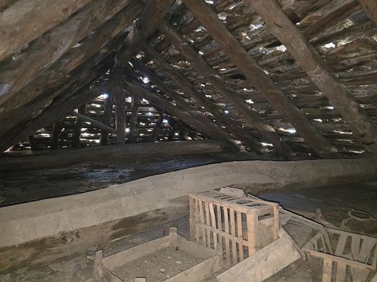 Grande proprietà con casa e due stalle da ampliare / Grande pro... - Foto 13 di 13