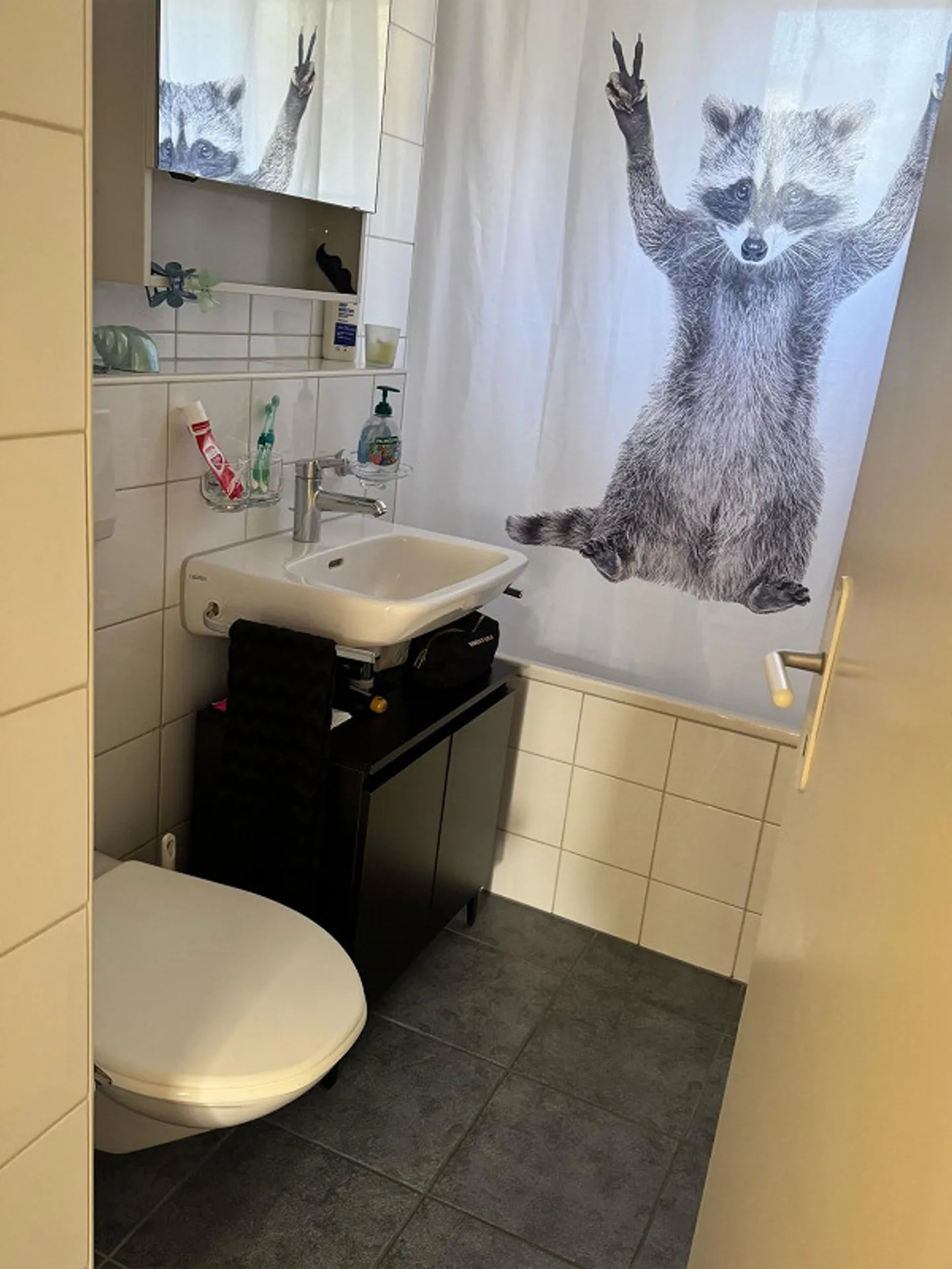 Appartamento 2.5 stanze - Foto 5 di 16