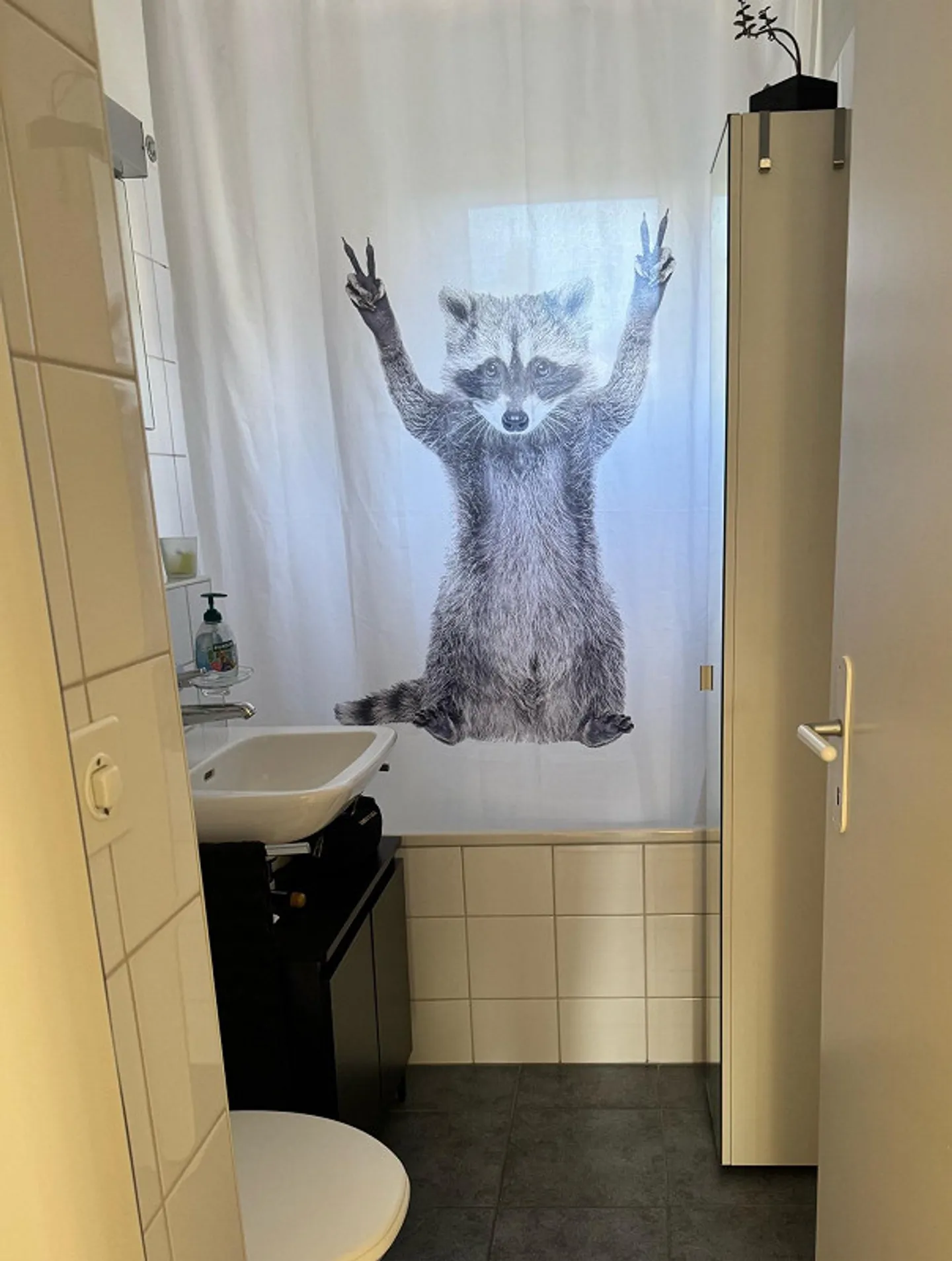 Appartamento 2.5 stanze - Foto 6 di 16