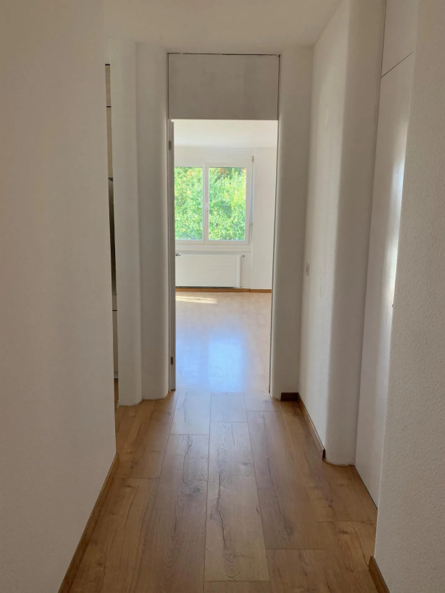 Appartamento attraente di 2,5 stanze con accesso al lago - Foto 5 di 12