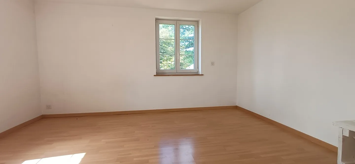 Ferme à grand potentiel. Pour famille ou investisseur. 4700 m2 - Photo 11 sur 15