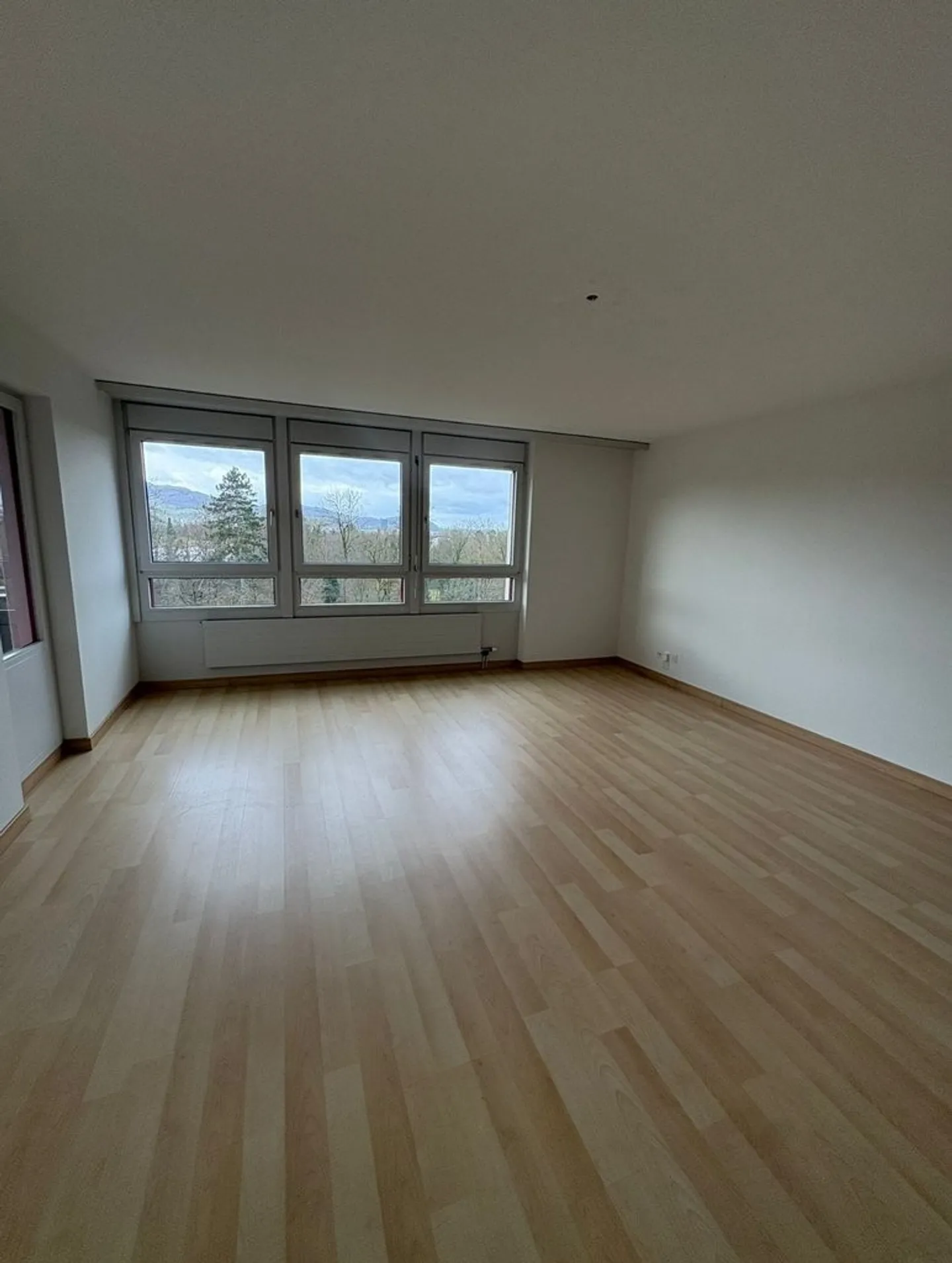 Votre nouveau chez-vous avec vue - 4,5 pièces au 7ème étage de Liebrüti - Photo 4 sur 10