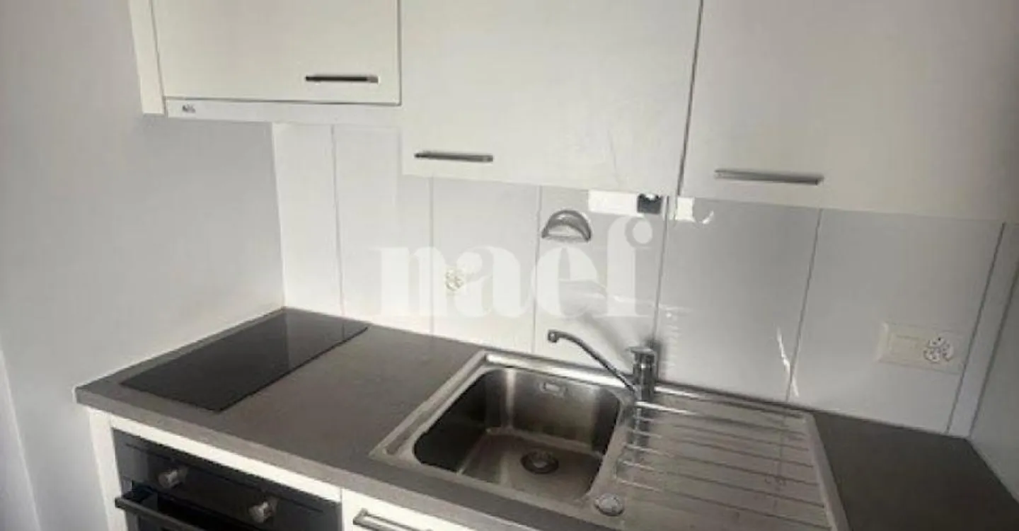 Appartement moderne 1.5 pièces - Photo 3 sur 4