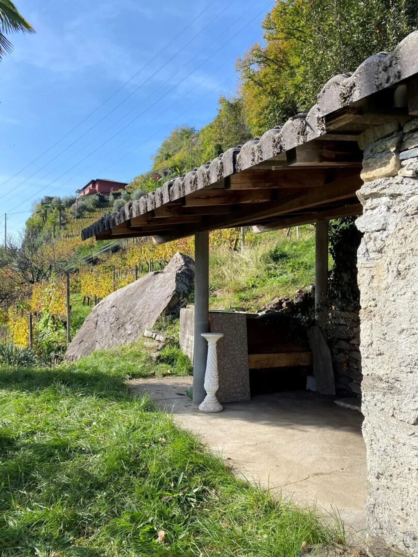 Vineyard - Photo 6 of 13