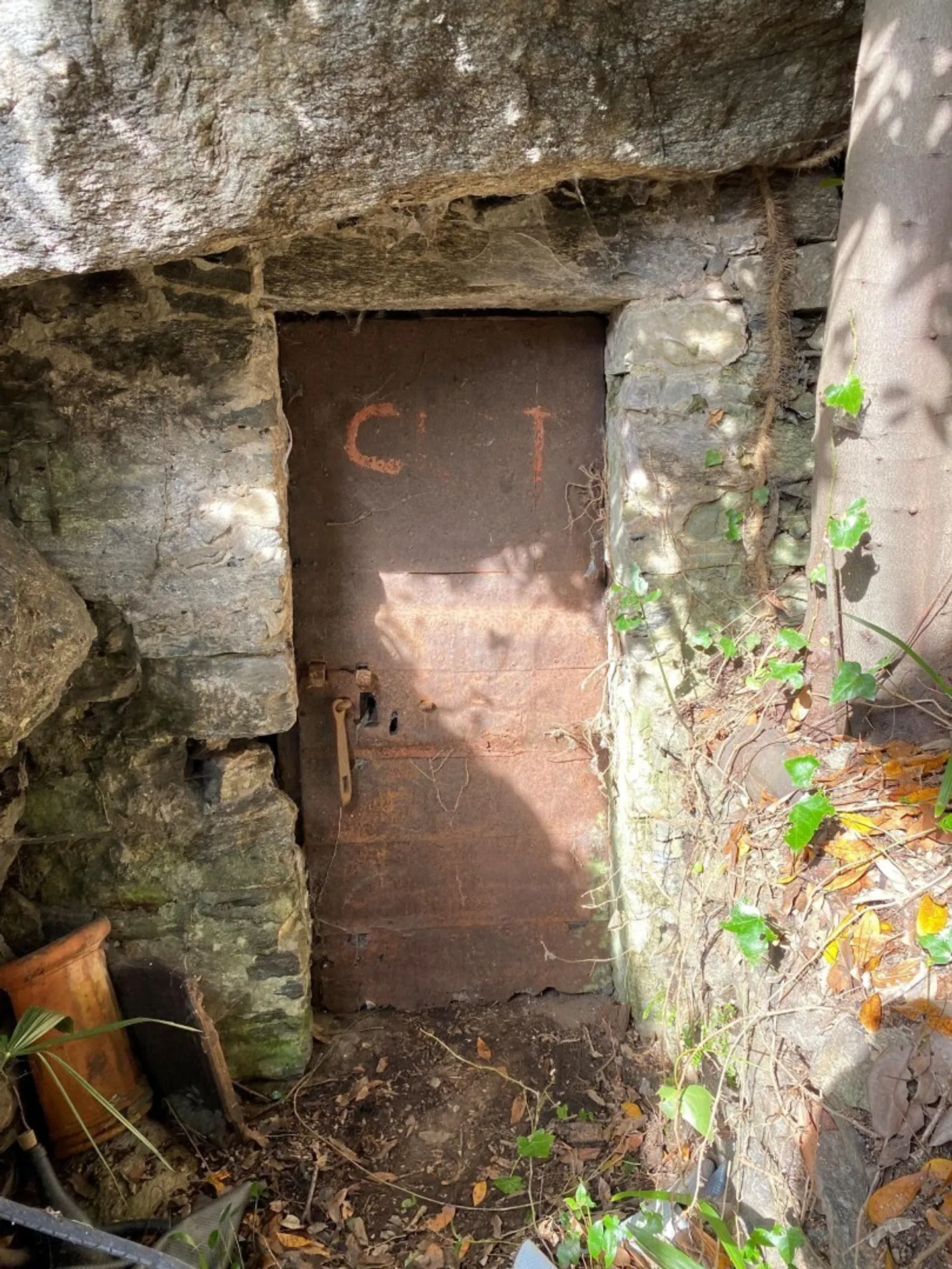 Vineyard - Photo 11 of 13