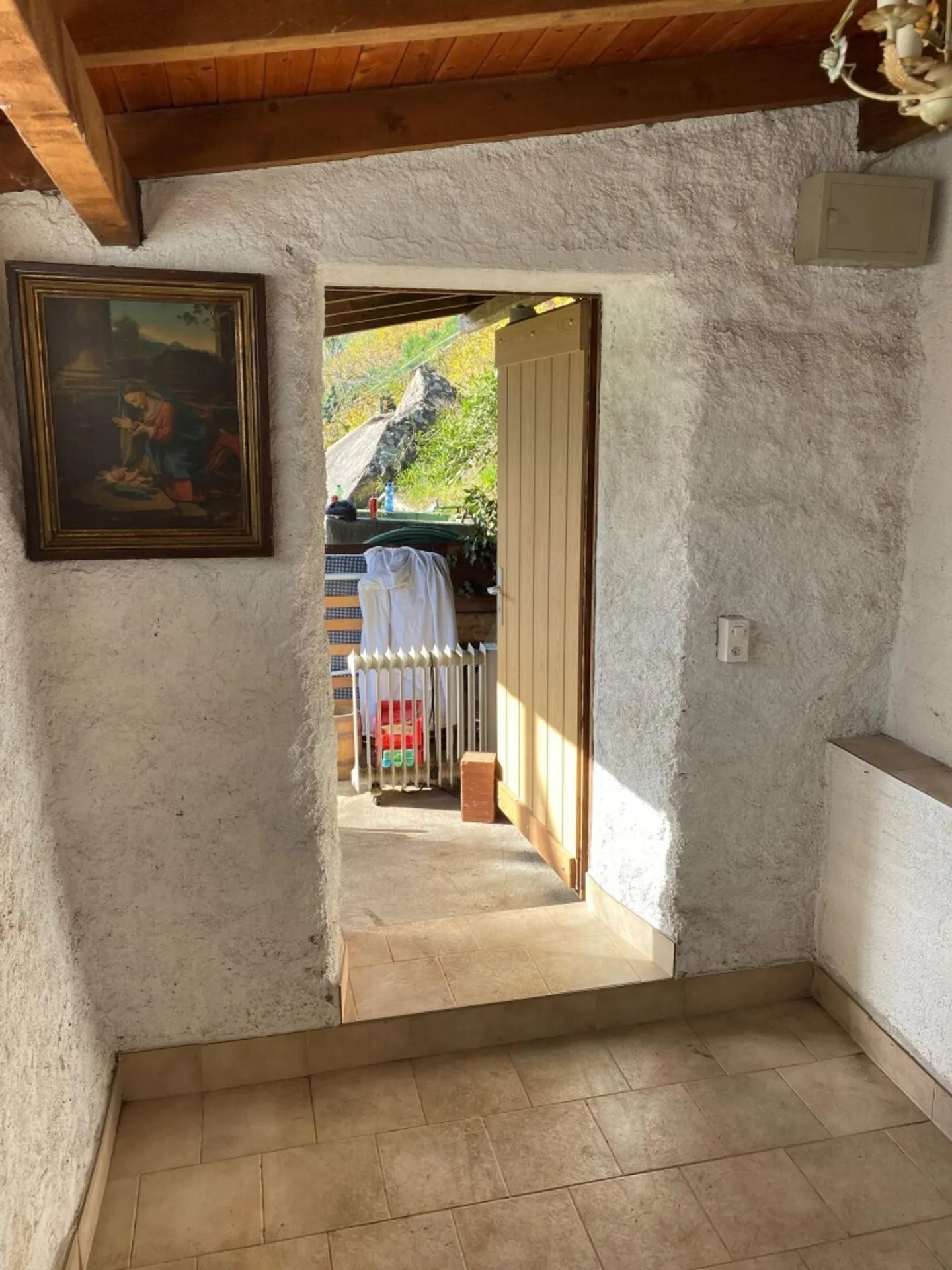 Vineyard - Photo 8 of 13