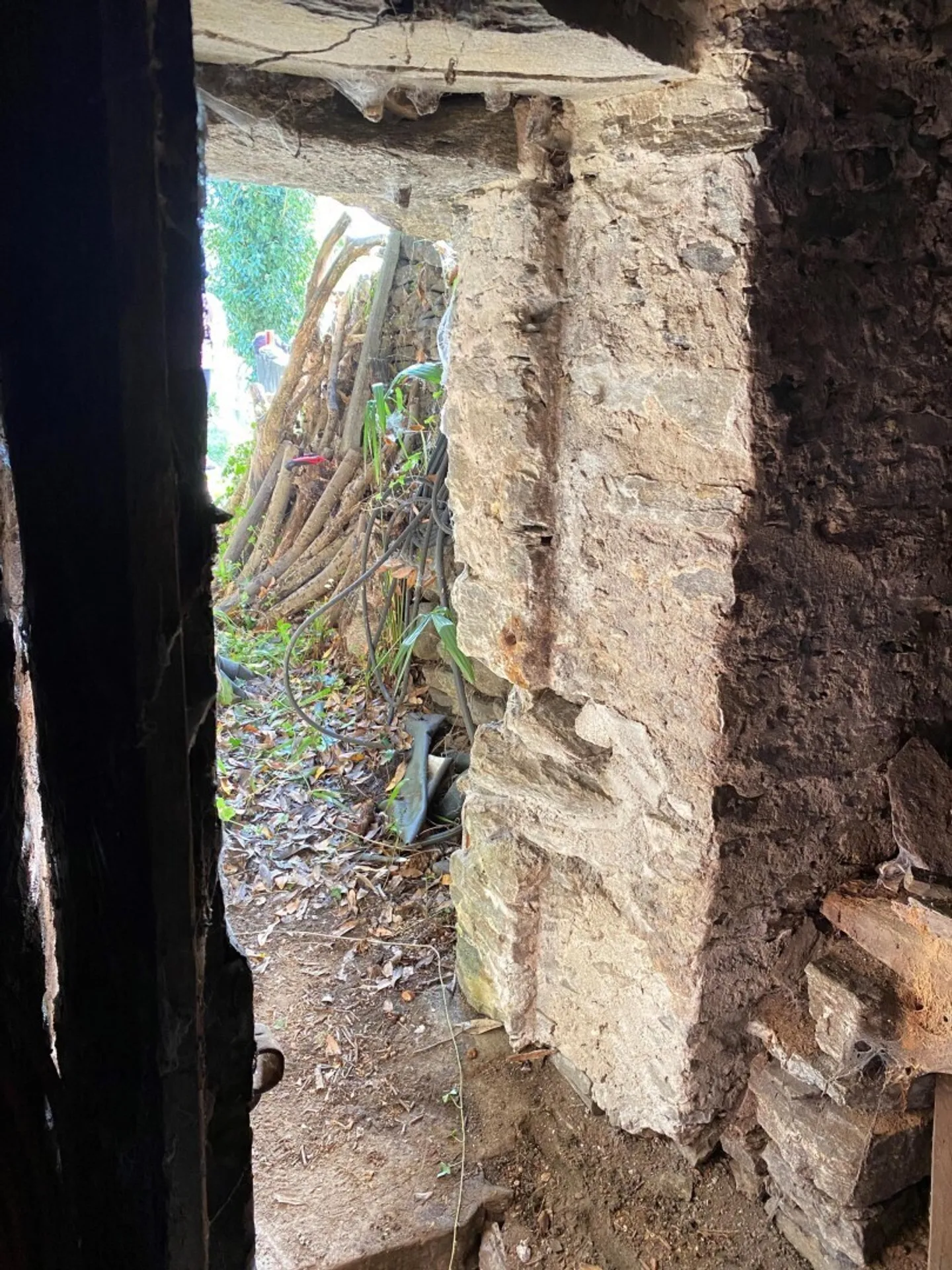 Vineyard - Photo 13 of 13