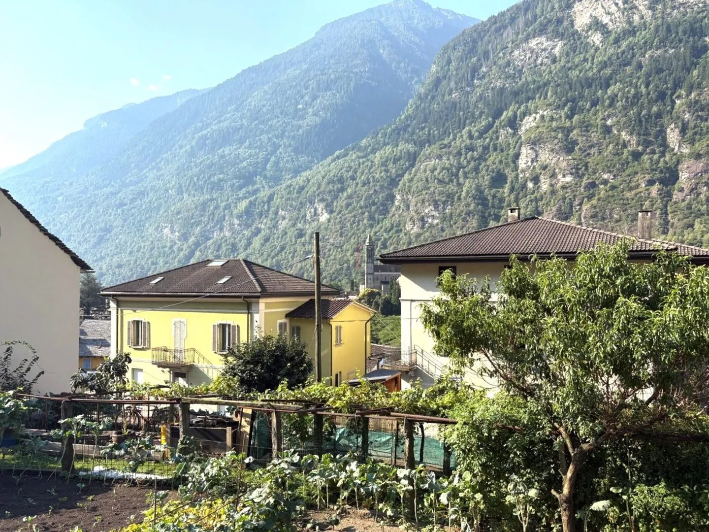 Building in a sunny residential area, surrounded by greenery - Photo 4 of 9