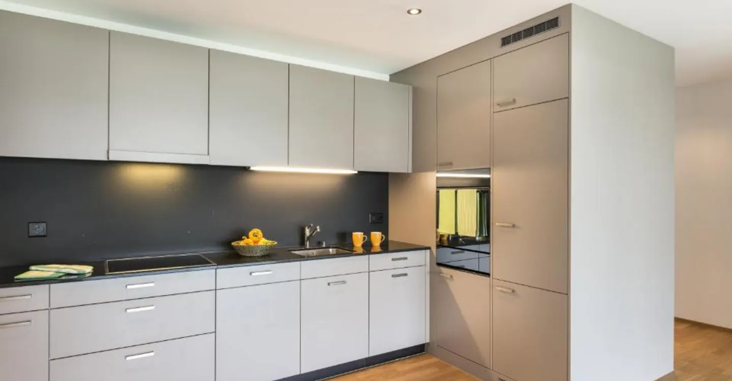 Modern Single Apartment at Lake Constance - Photo 2 of 6