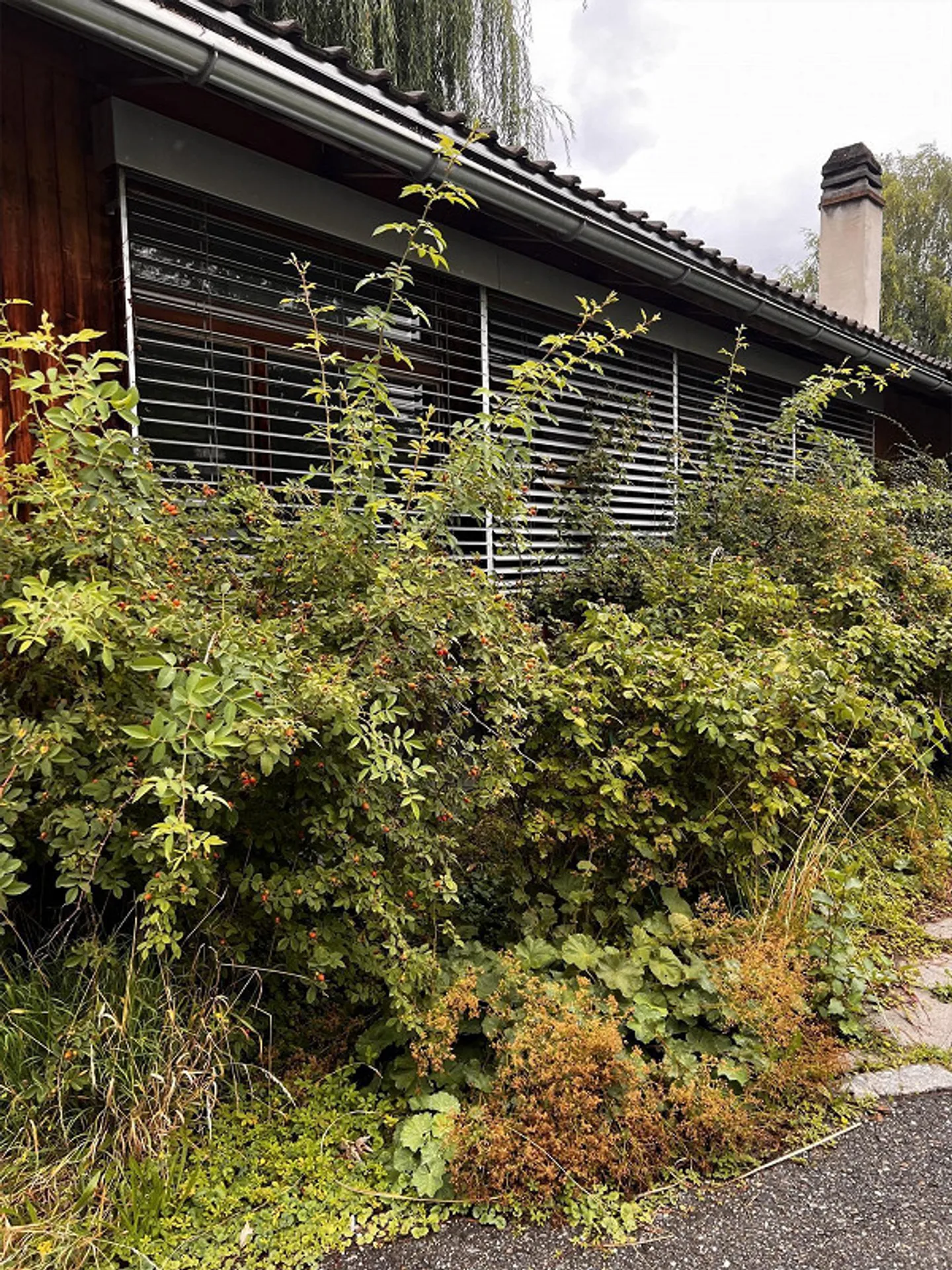 Temporary: Office/Studio with Garden near Center - Photo 4 of 4
