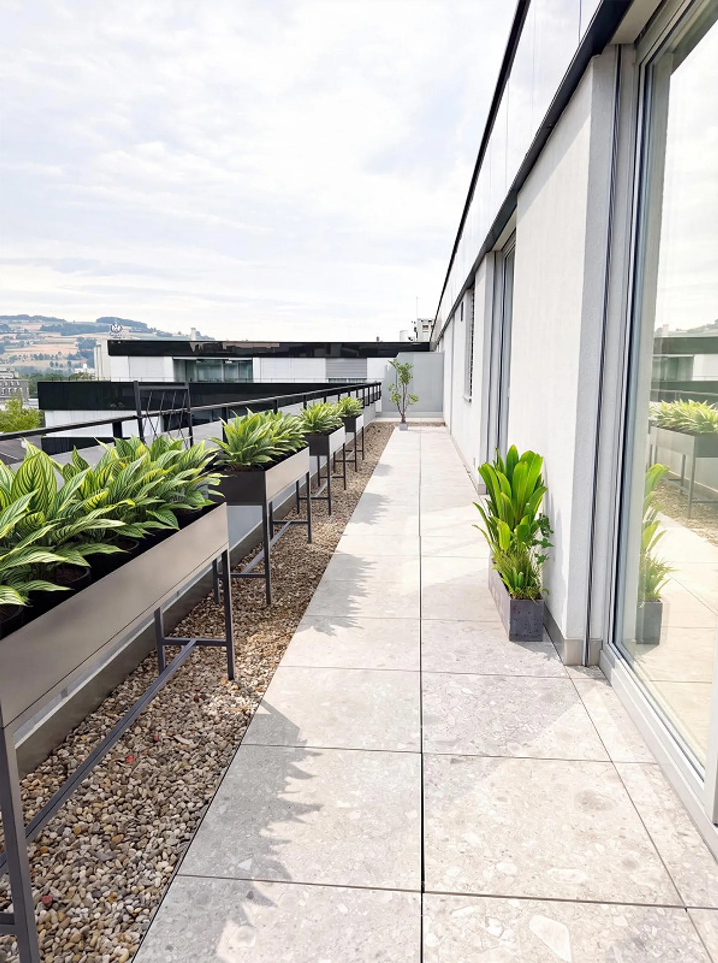 Penthouse exclusif à Sursee avec 131 m² et 135 m² de terrasse - Photo 8 sur 14