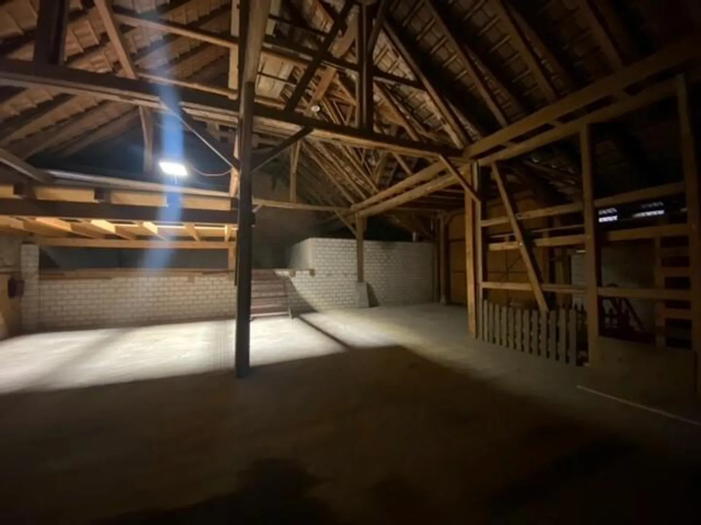 Spazi commerciali spaziosi a Niederglatt - Foto 8 di 9