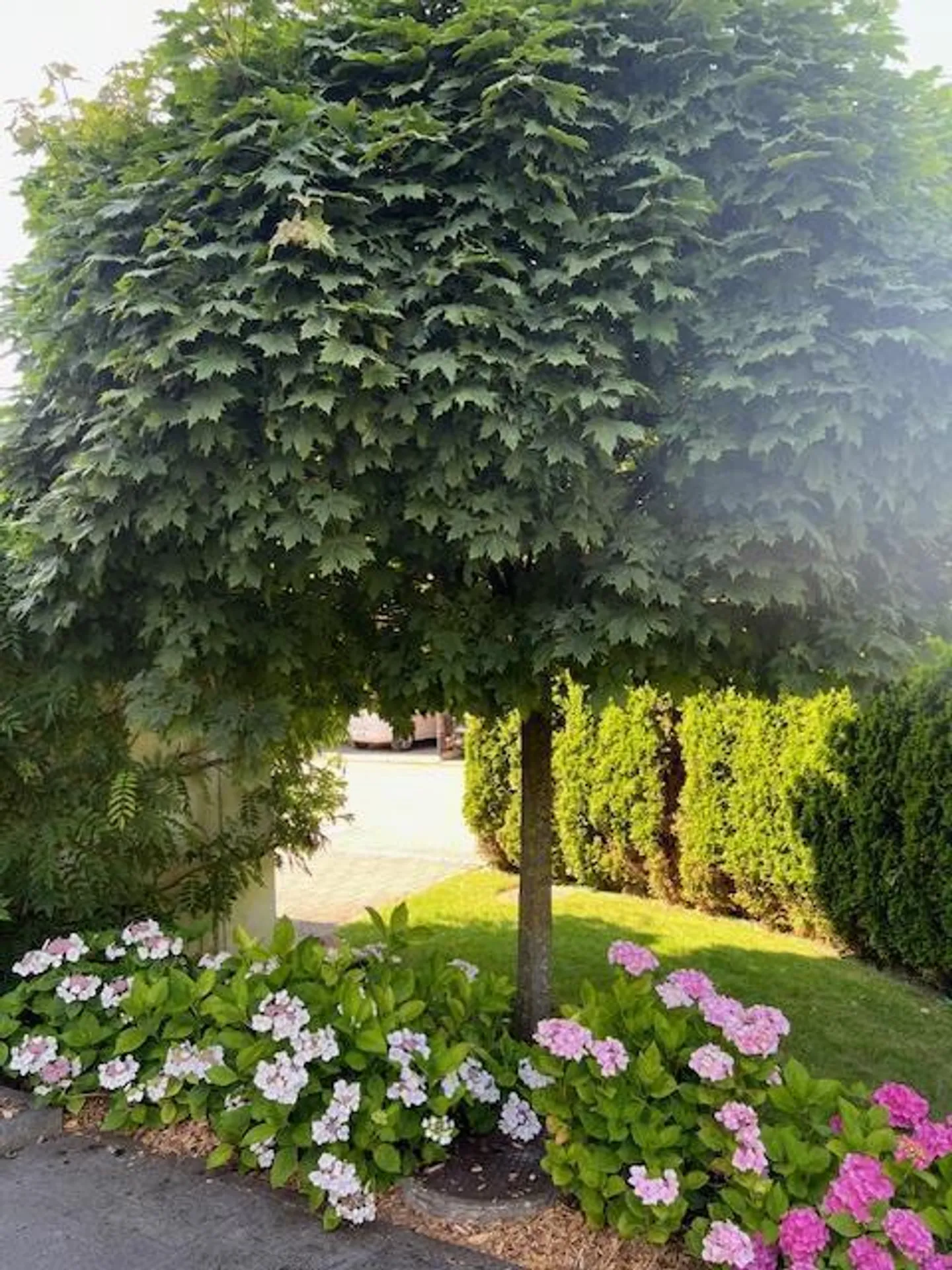 Charmante Attikawohnung mit Terrasse - Foto 24 von 27