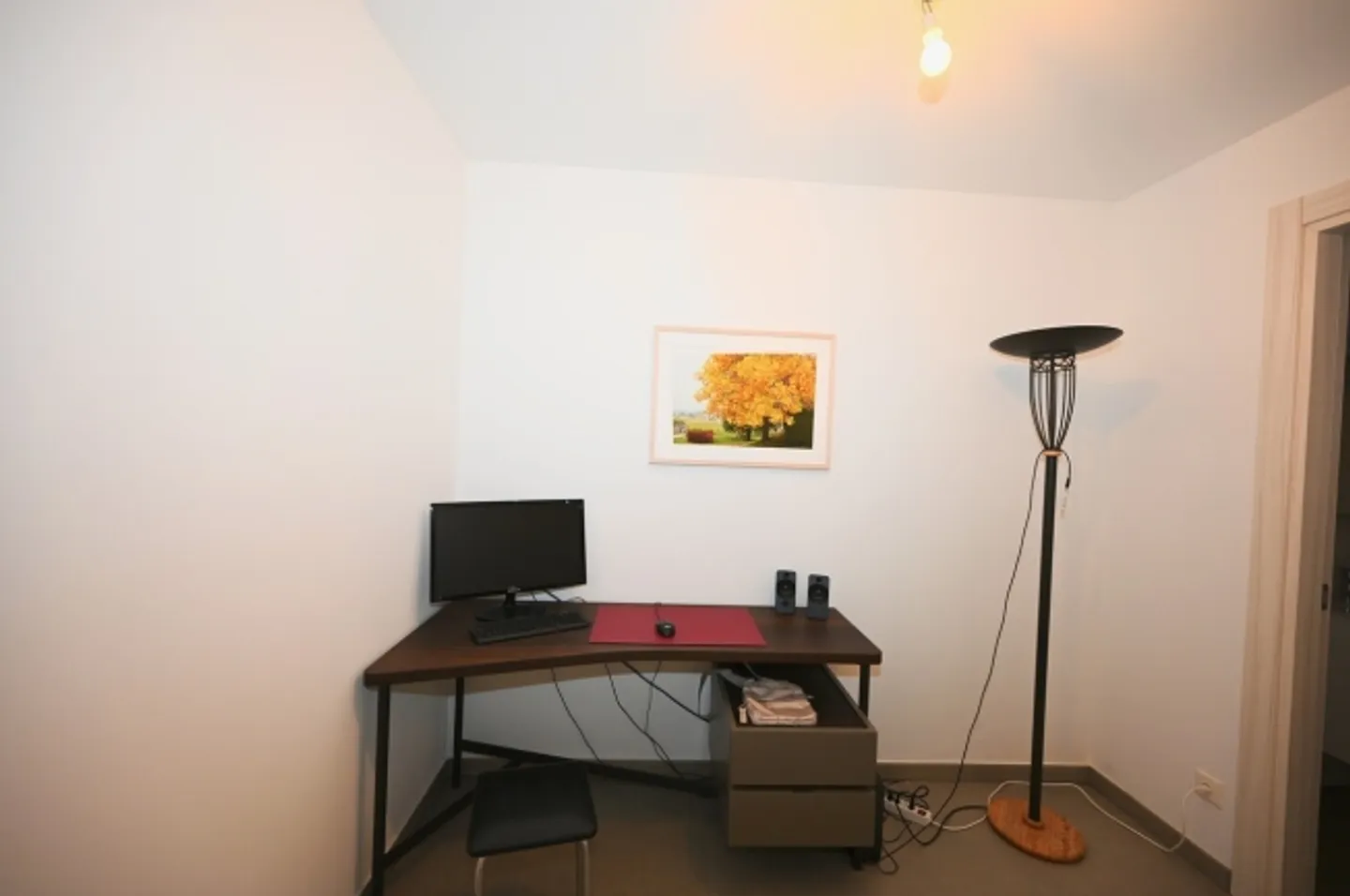 Appartamento moderno 2,5 locali con giardino a Manno - Foto 6 di 9