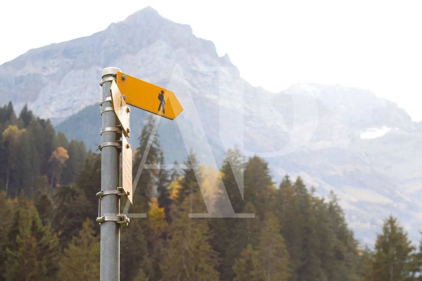 FOR SALE APARTMENT 5.5 ROOMS IN AN AUTHENTIC CHALET - Photo 25 of 25