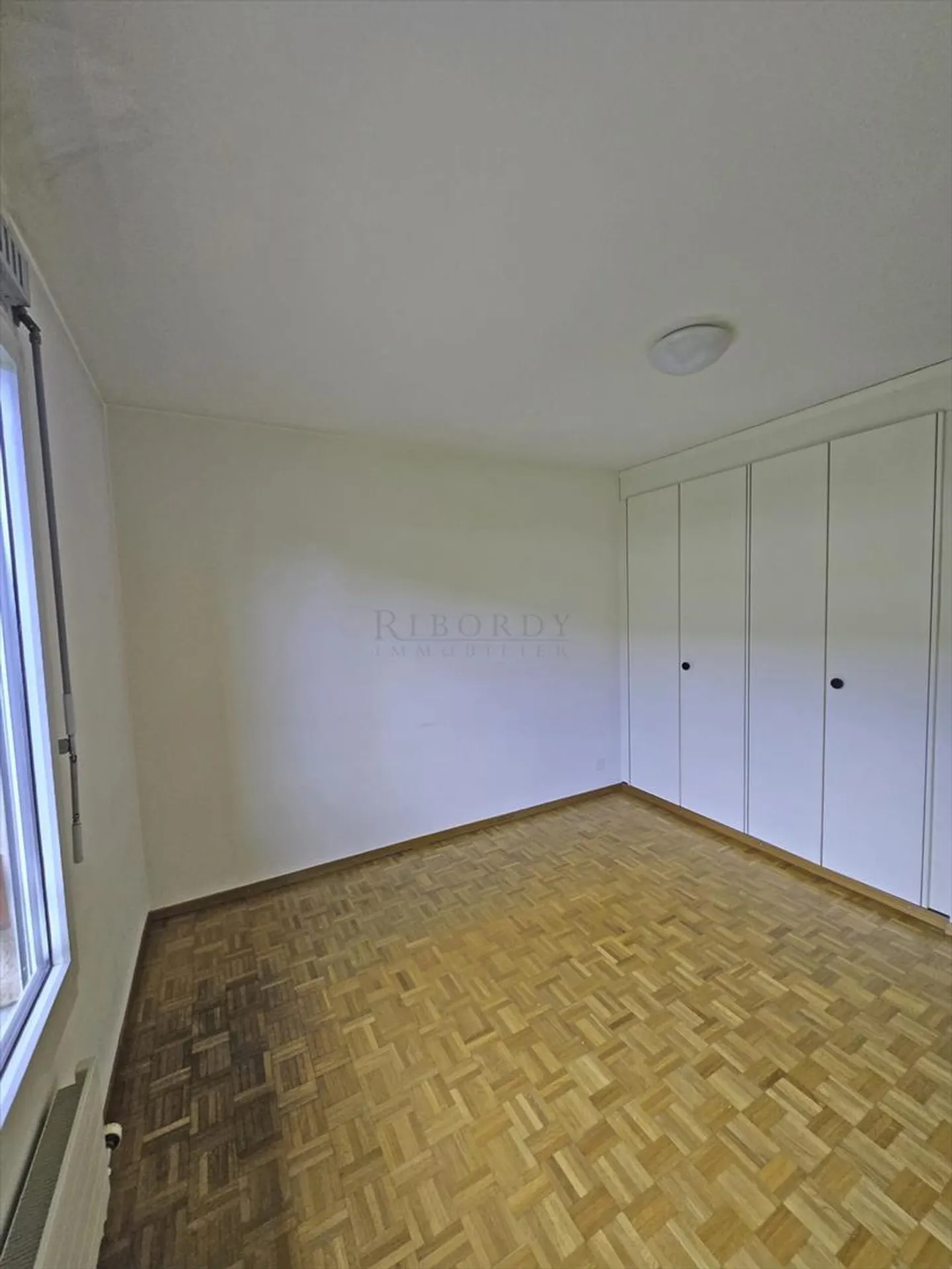 Versoix, spazioso appartamento duplex di 166 m2 con camino, balcone e garage - Foto 6 di 13