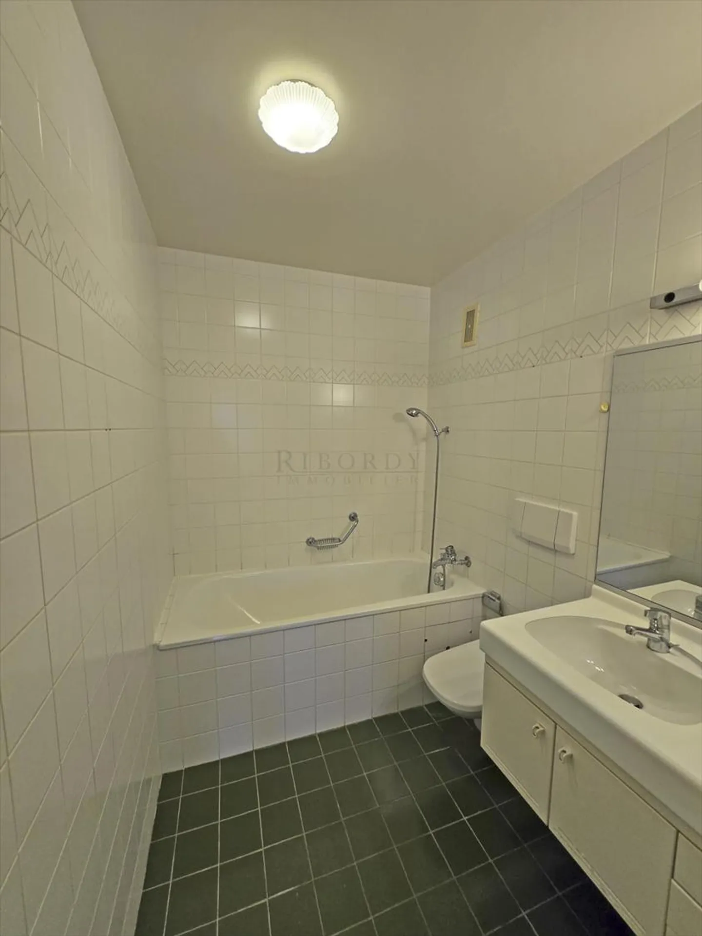 Versoix, spazioso appartamento duplex di 166 m2 con camino, balcone e garage - Foto 8 di 13