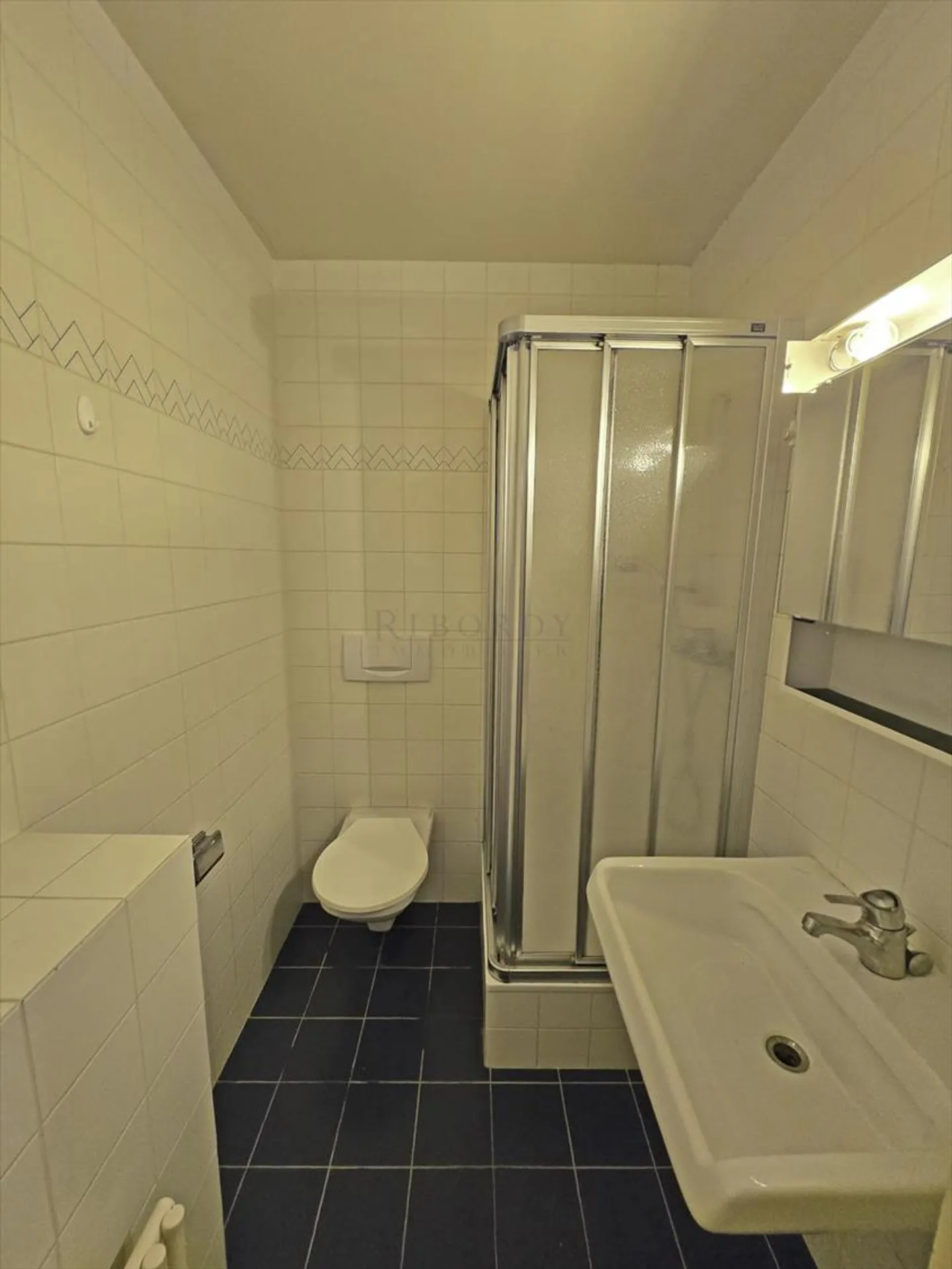 Versoix, spazioso appartamento duplex di 166 m2 con camino, balcone e garage - Foto 9 di 13