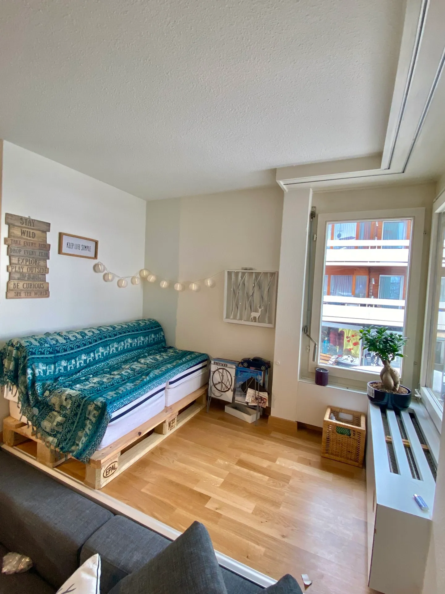 3½ ROOM APARTMENT IN FLIMS DORF (GR), FURNISHED, TEMPORARY - Photo 3 of 9