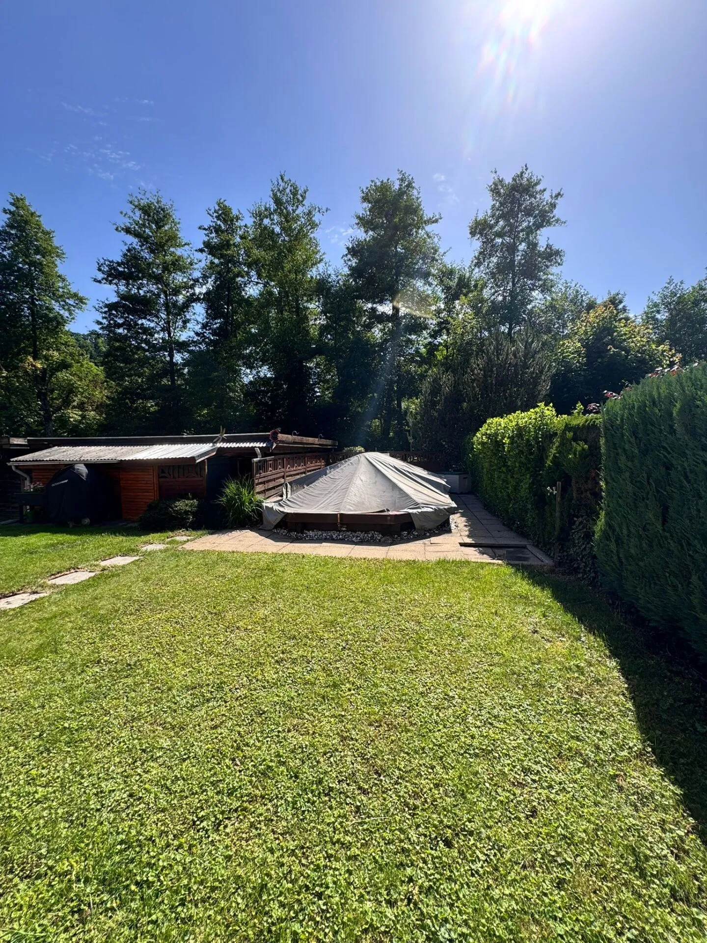 Casa unifamiliare angolare con giardino, carport, piscina e 5,5 stanze - disponibile immediatamente - Foto 18 di 22