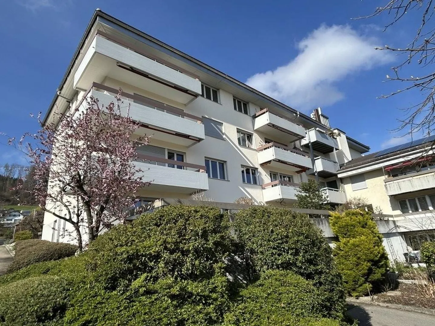 Vivre avec vue sur le lac : Appartement rénové de 3,5 pièces à Oberrieden - Photo 1 sur 7