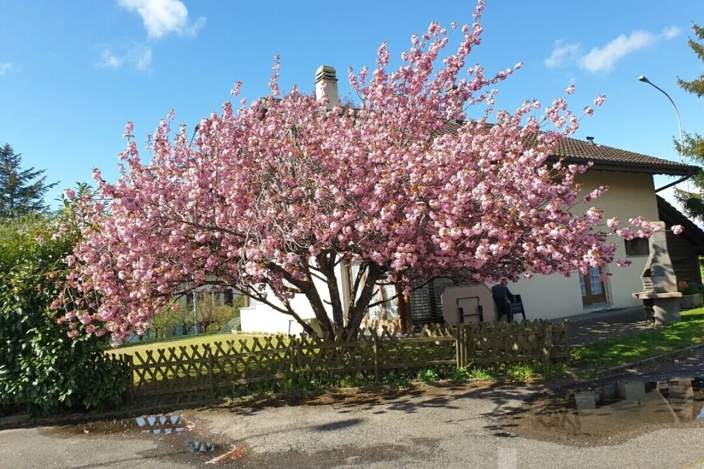 Villa familiare piena di potenziale - Foto 8 di 13