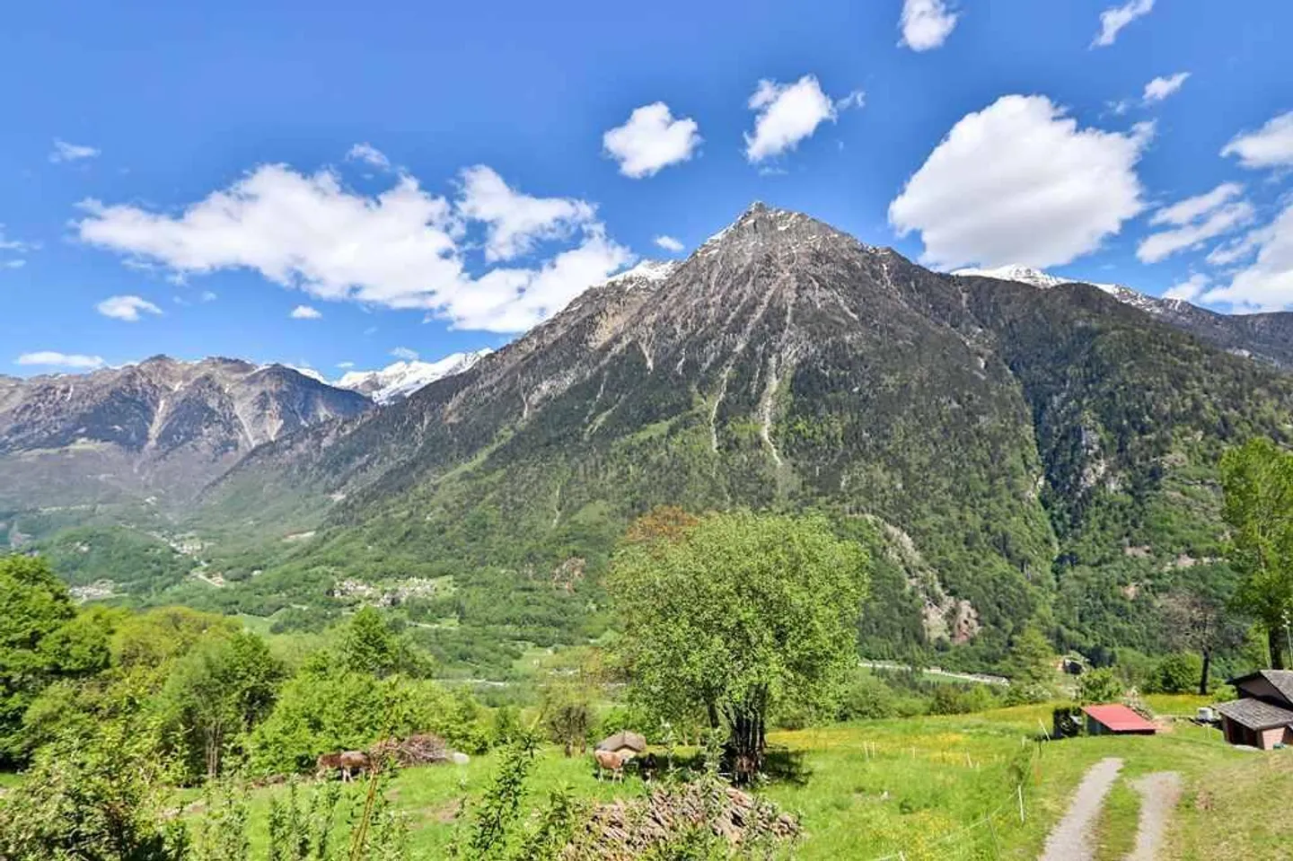 Casa di 4 1/2 locali con bella vista e prato di 5000m2 - Foto 8 di 13