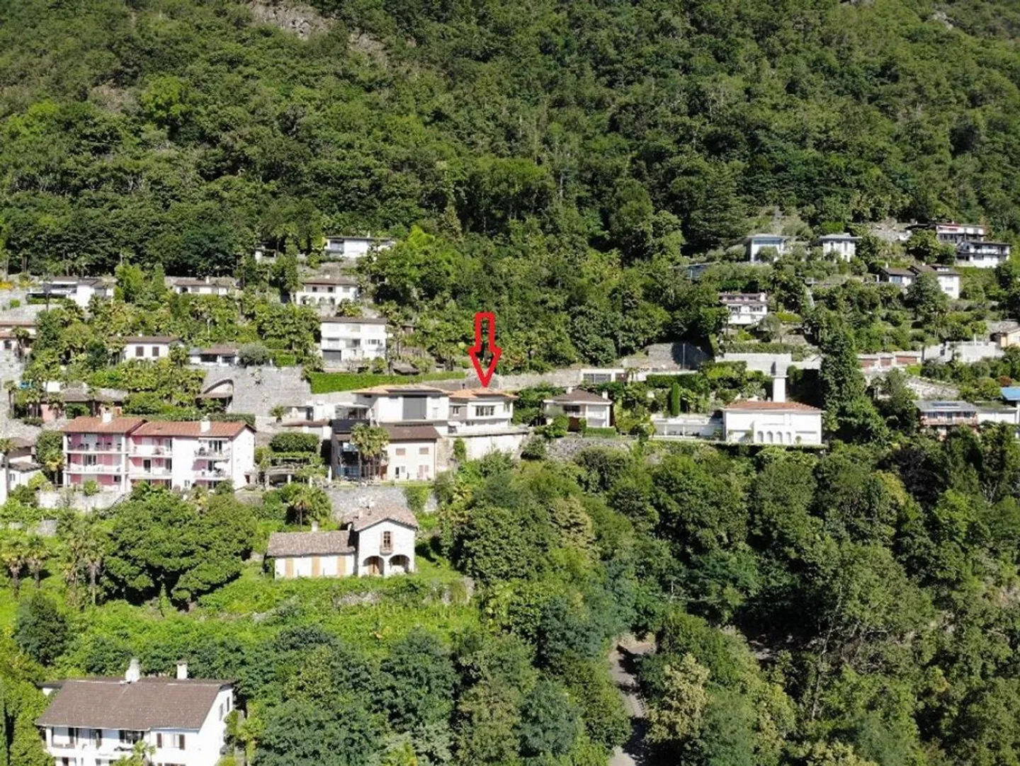 A diamond on the hill in Ronco, house with 2 apartments - Photo 12 of 12
