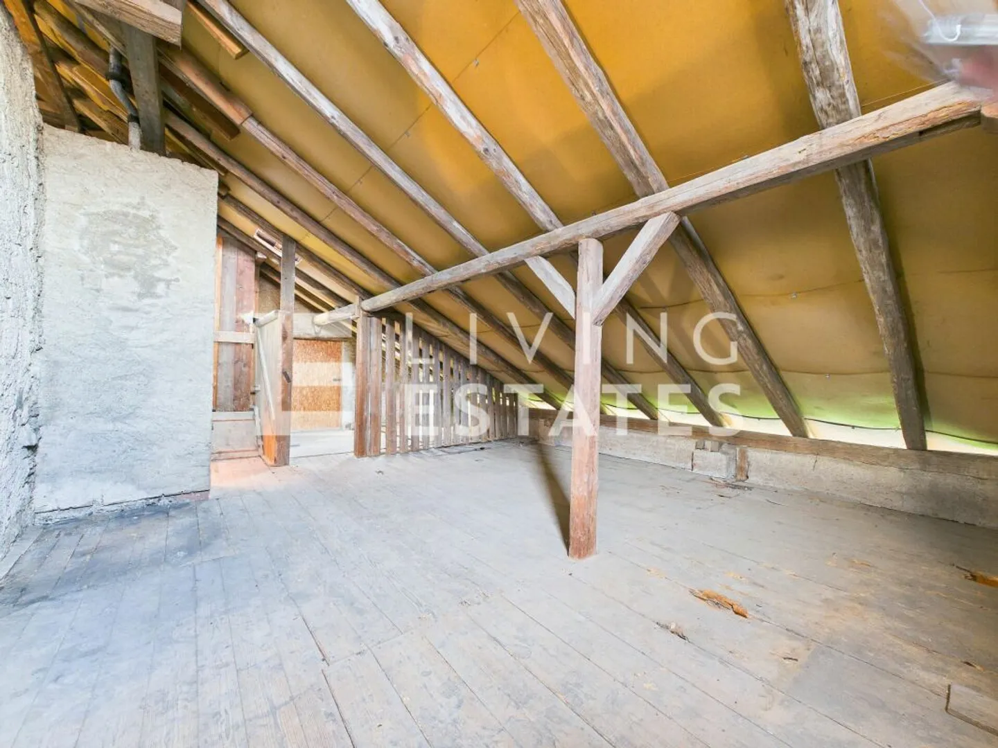 Charming Multi-Family Home - Photo 9 of 19