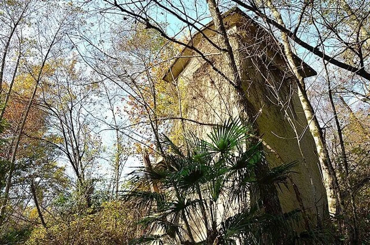 Haus mit viel Umschwung im Malcantone - Foto 13 von 13