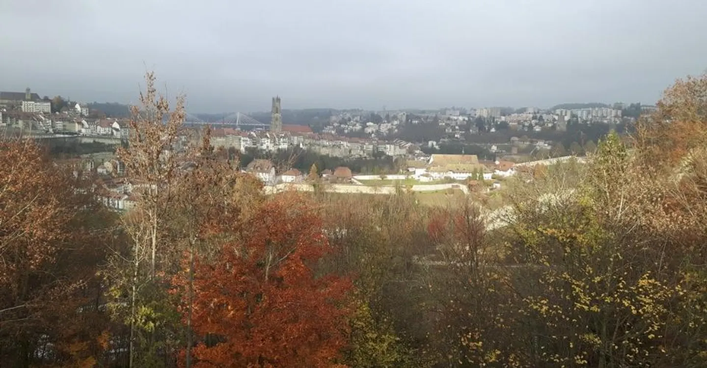 ZU VERMIETEN PARKPLÄTZE IM HERZEN DER STADT FRIBOURG - Foto 1 von 6