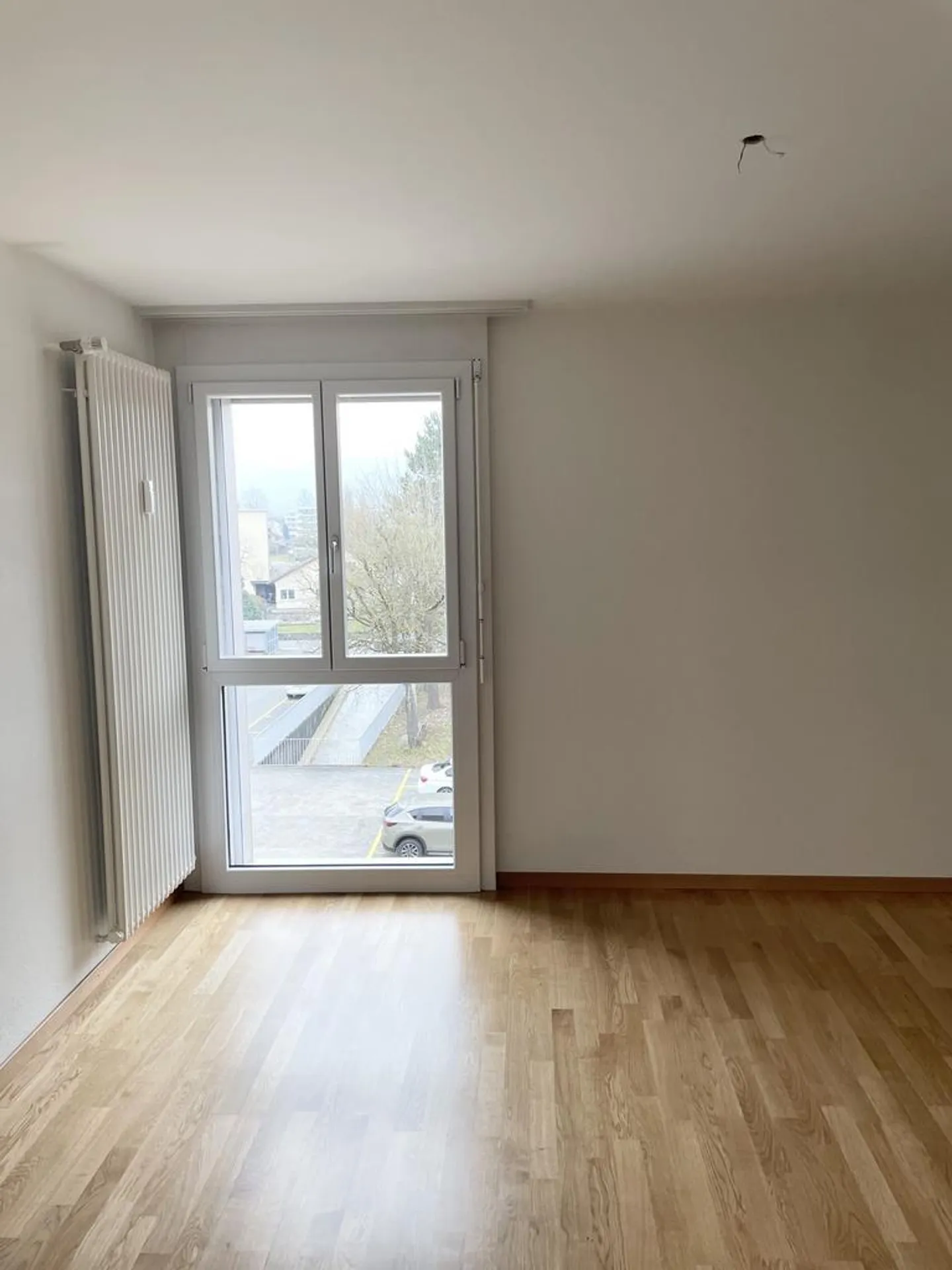 Visita: Mercoledì 26 novembre 2025 tra le 16:00 e le 17:00 - Foto 5 di 7