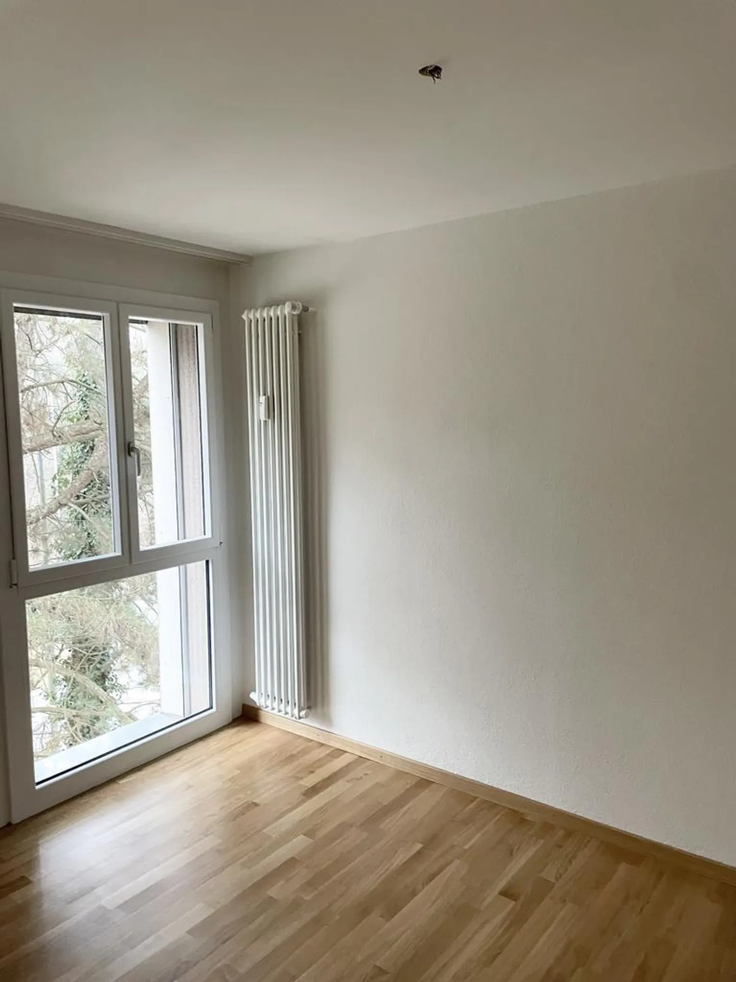 Visita: Mercoledì 26 novembre 2025 tra le 16:00 e le 17:00 - Foto 6 di 7