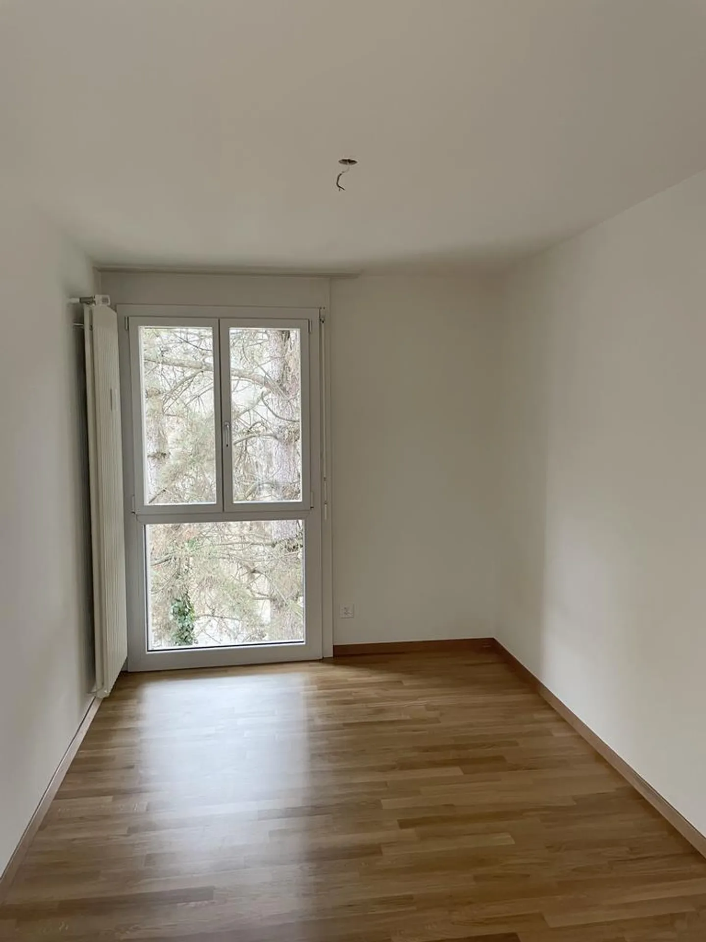 Visita: Mercoledì 26 novembre 2025 tra le 16:00 e le 17:00 - Foto 7 di 7