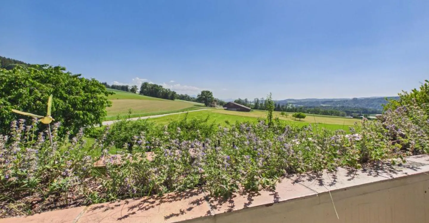 LP - Vauderens - Foto 8 von 12