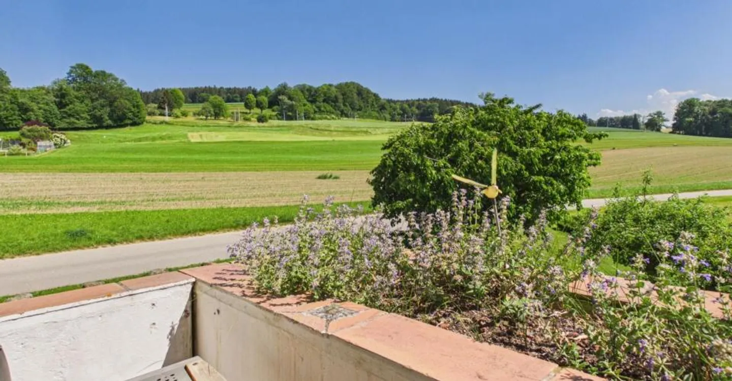 LP - Vauderens - Foto 12 von 12