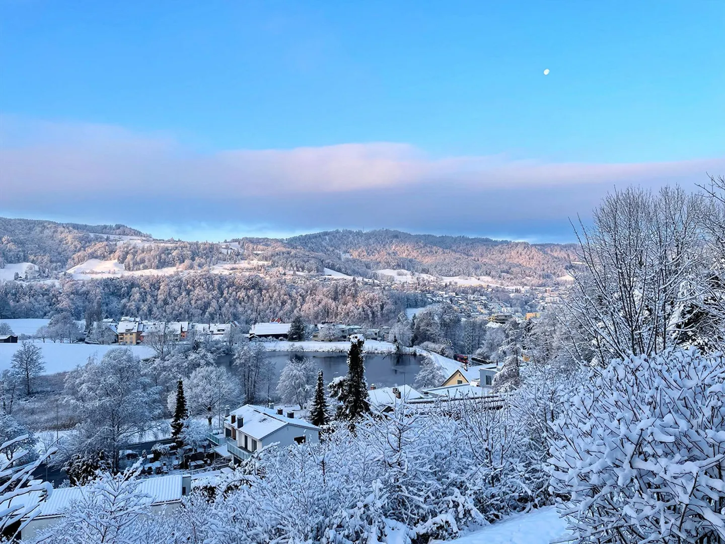 Appartamento 3.5 locali con vista sul Albispass - Foto 8 di 8