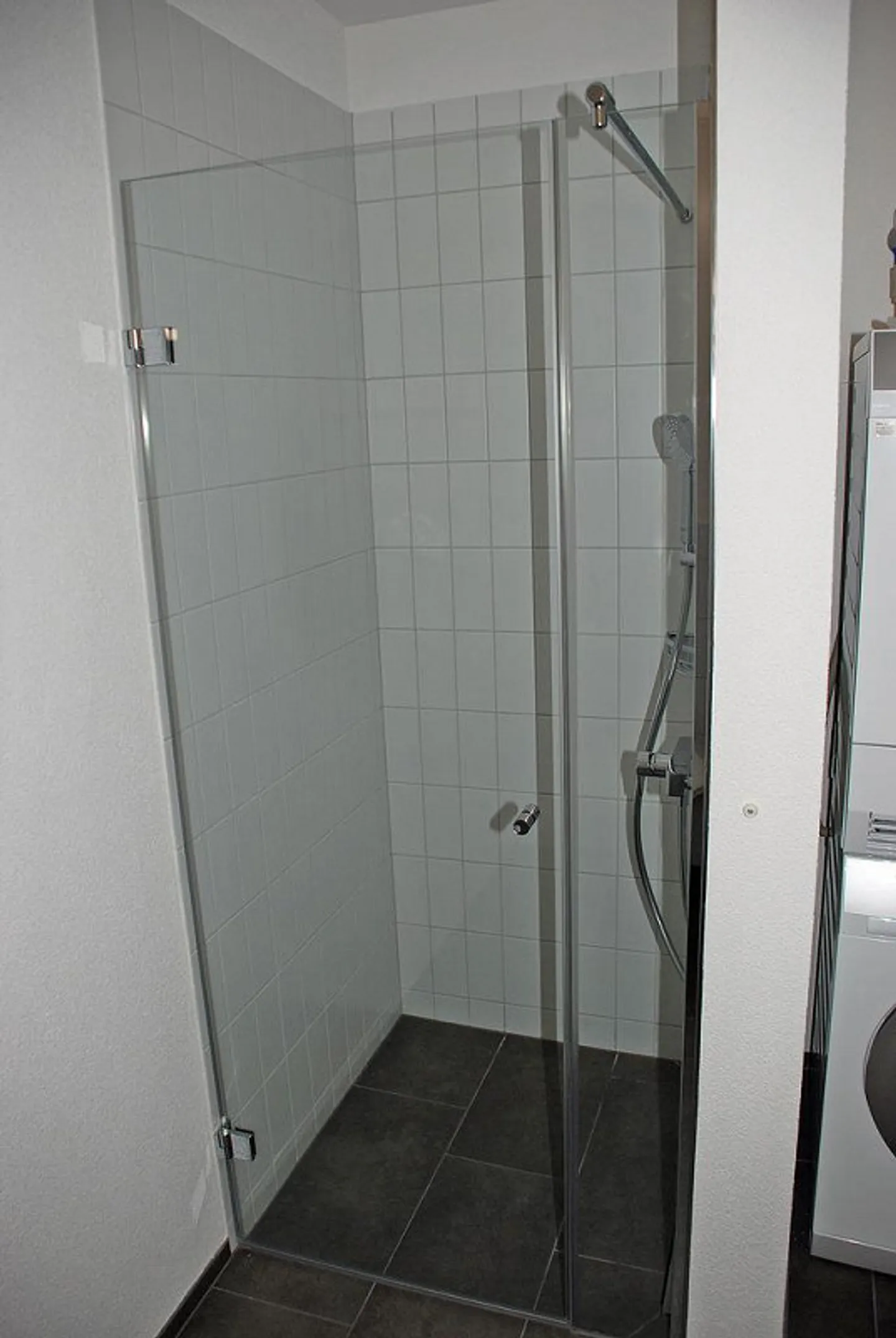 Sonnige Wohnung in Bad Ragaz - Foto 6 von 8