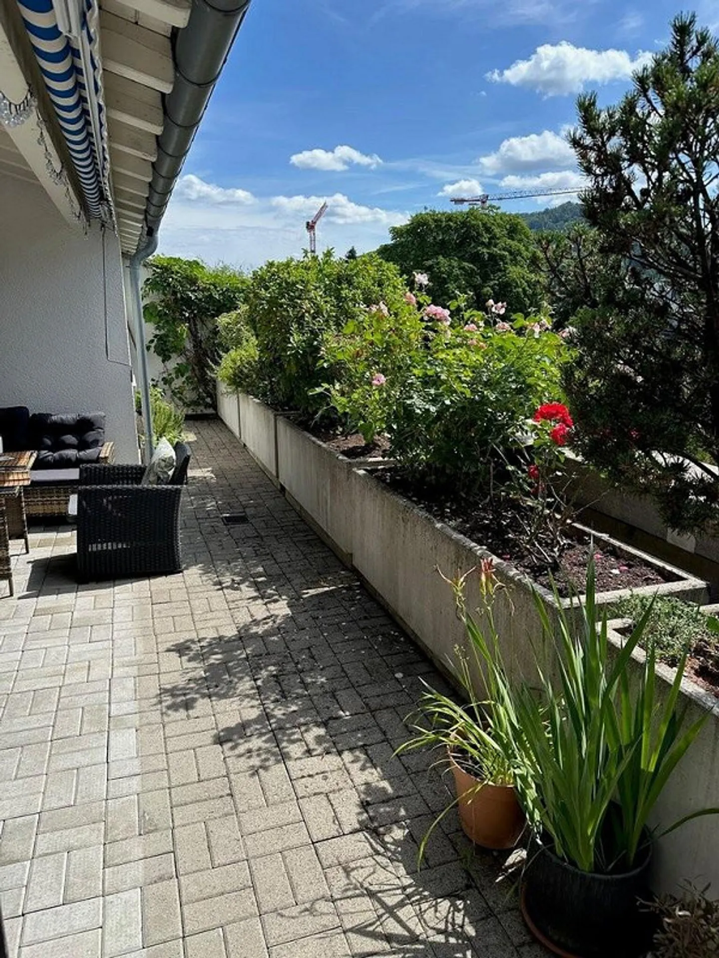 Mäder-Areal - Elegant penthouse apartment near the old town and train station - Photo 5 of 7