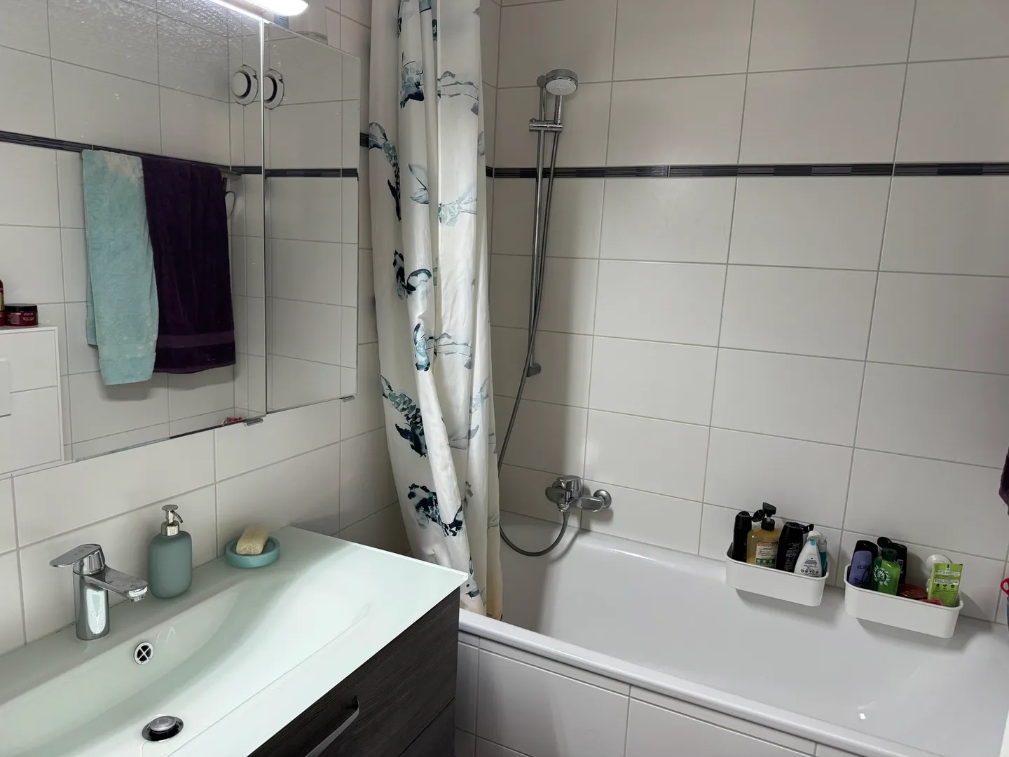 Appartamento Familiare a Sion - Foto 9 di 10