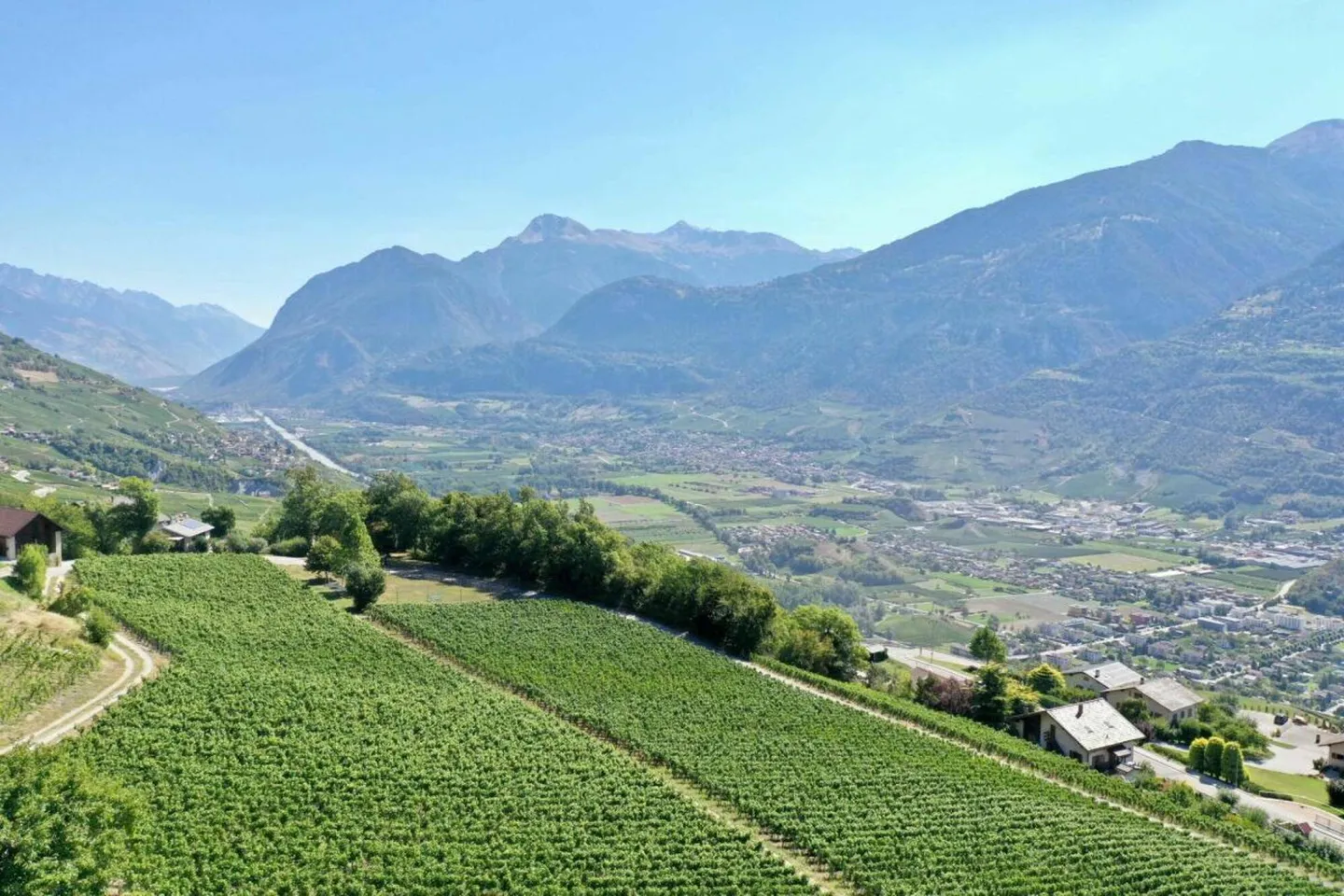 Appartamento in vendita - Foto 4 di 6