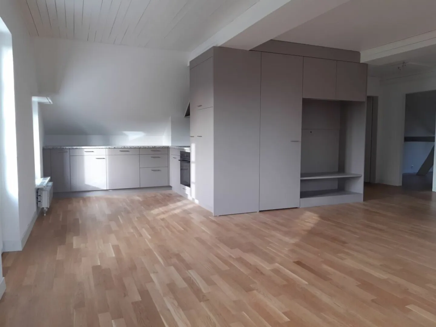 3 1/2 Rooms PLUS near Lyss - Photo 1 of 11