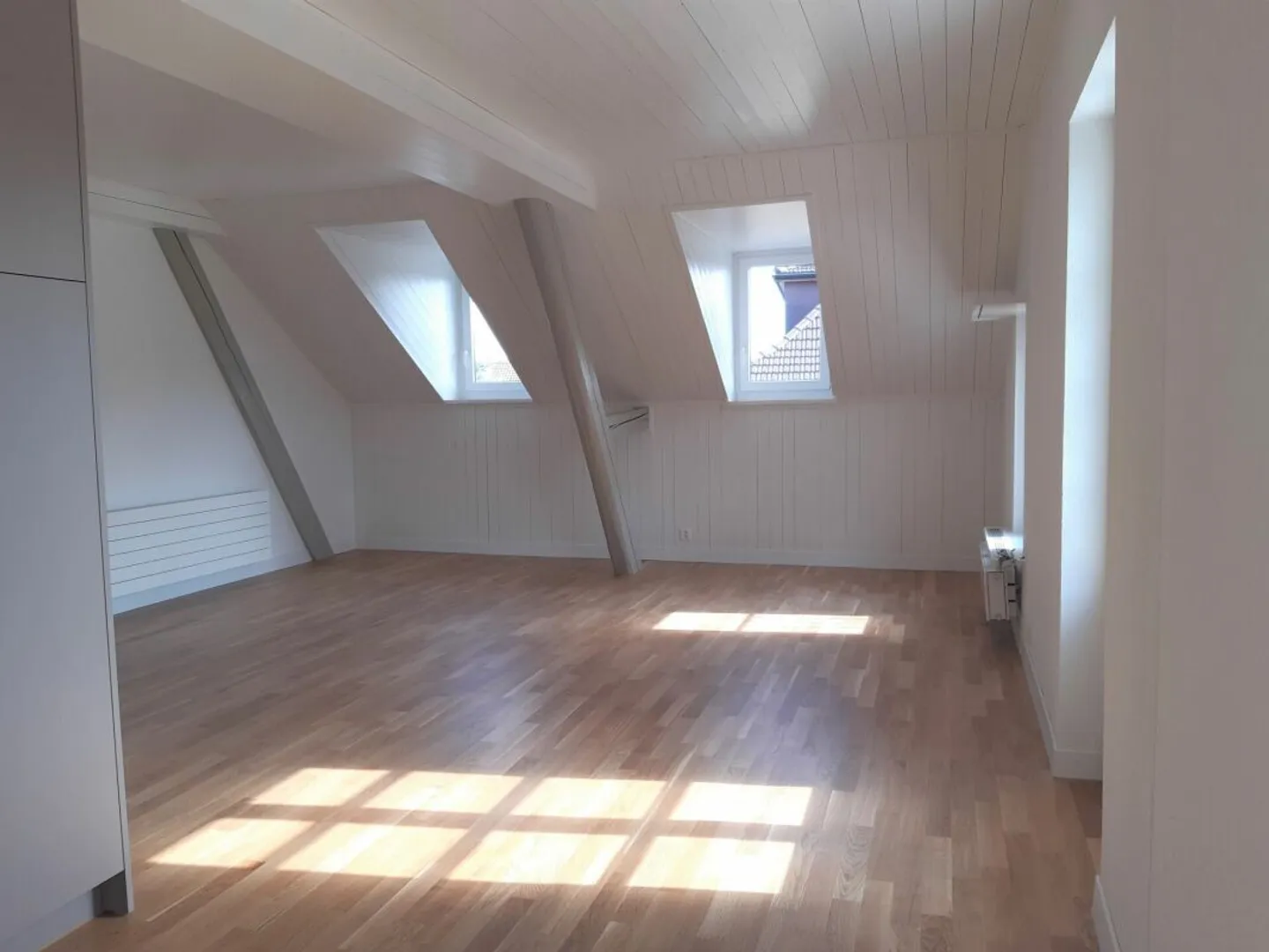 3 1/2 Rooms PLUS near Lyss - Photo 3 of 11