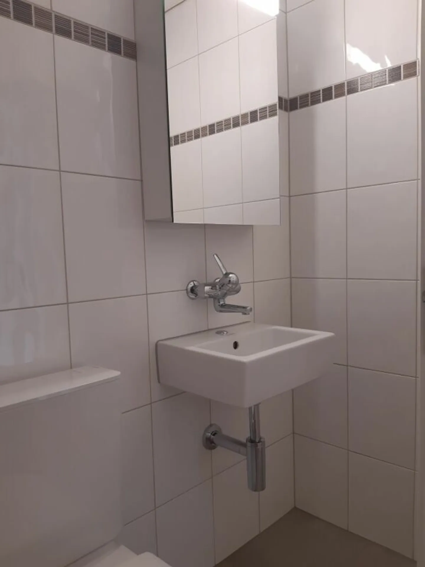 3 1/2 Rooms PLUS near Lyss - Photo 7 of 11