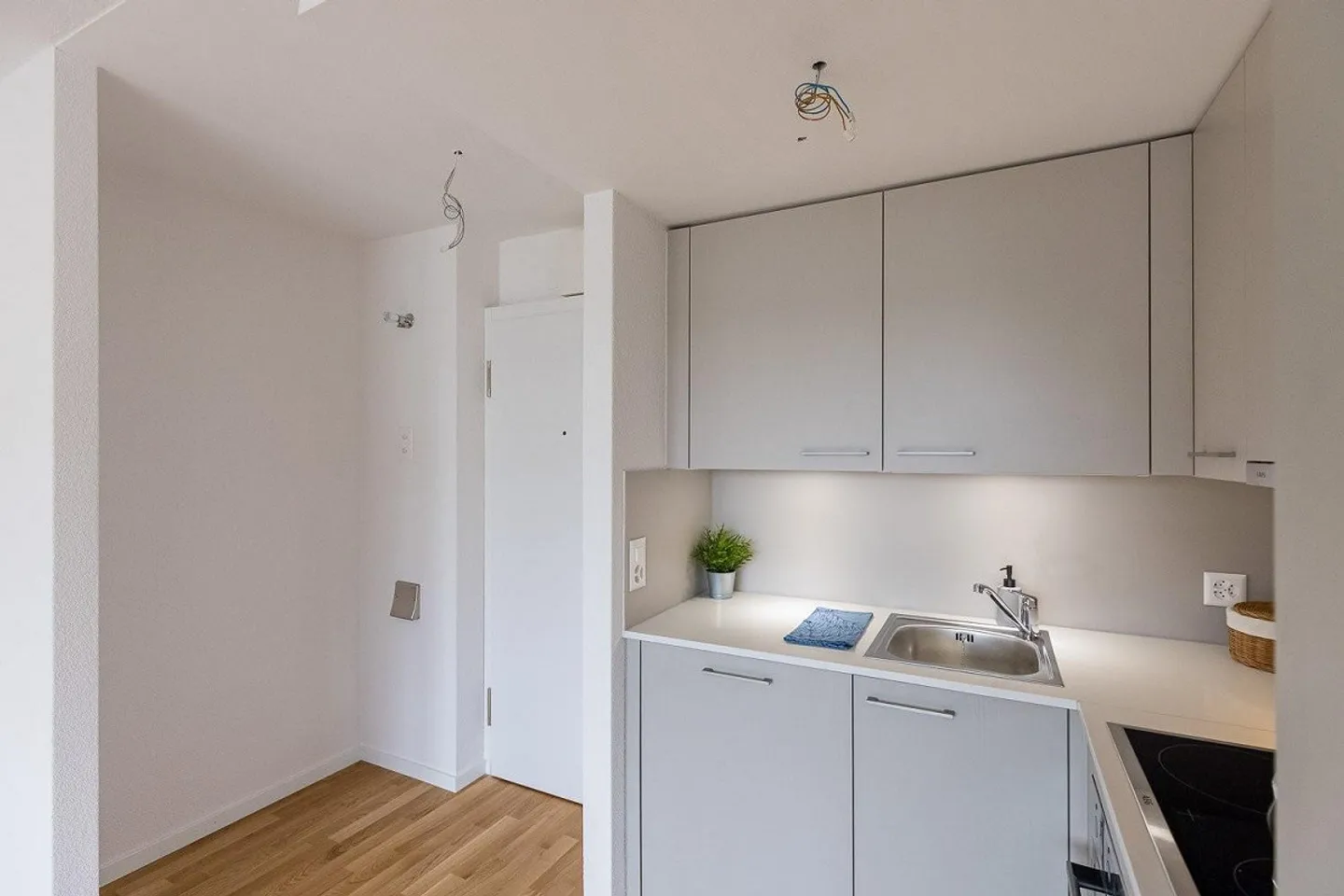 Piccolo ma Carino! - Foto 6 di 9